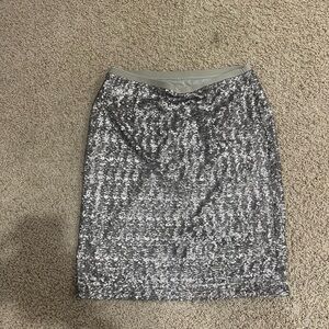 Sequin Skirt